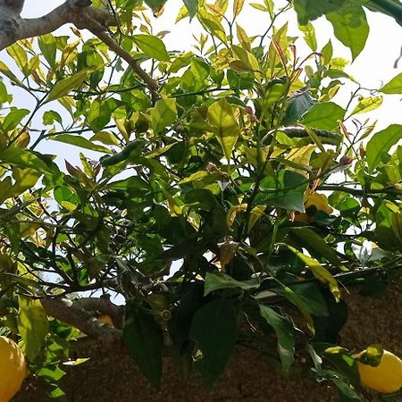 La Pica Marina Anacapri公寓 外观 照片